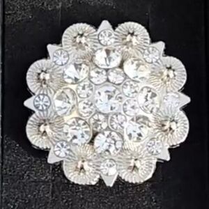 "RHINESTONE SCARF SLIDE" CLEAR & AB BLING!!! NEW IN BOX +💥FREE WILD RAG💥